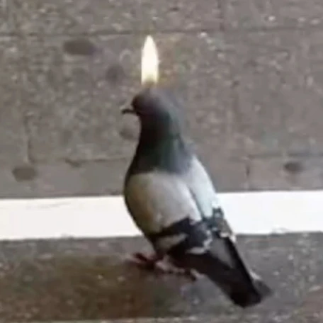 F