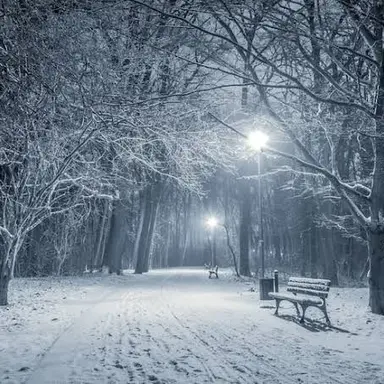 Profile image of 로보