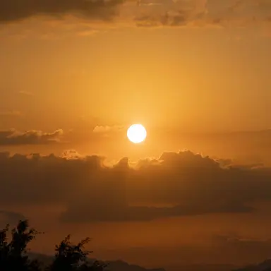 Profile image of 니노