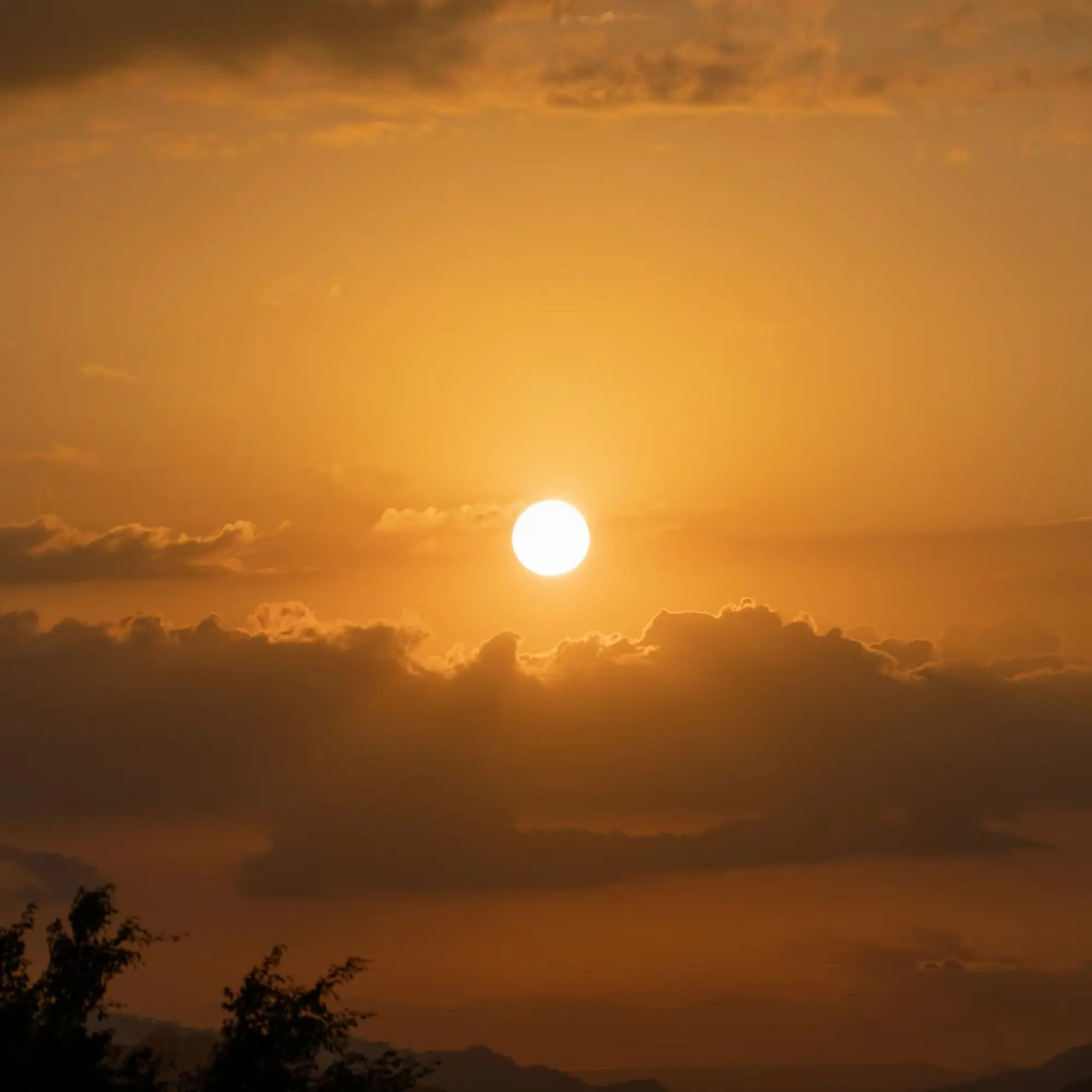 yosan.g의 스코시즘