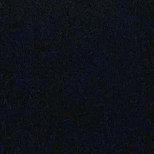 서준