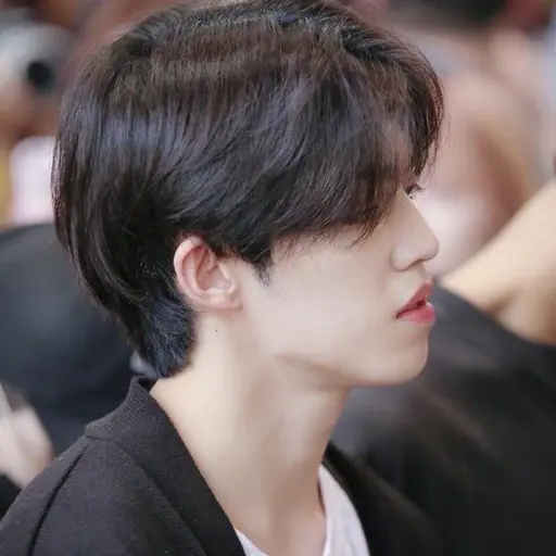 SvtJUNGLE0526의 최승철