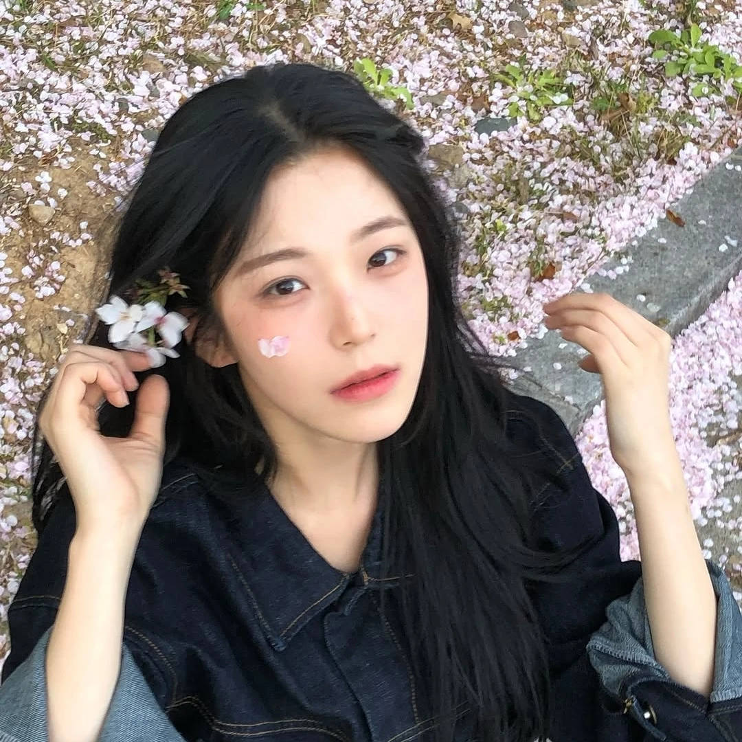 백지헌