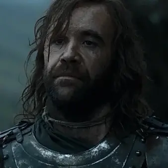 Profile image of Sandor Clegane