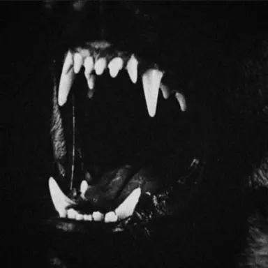 Profile image of 카일