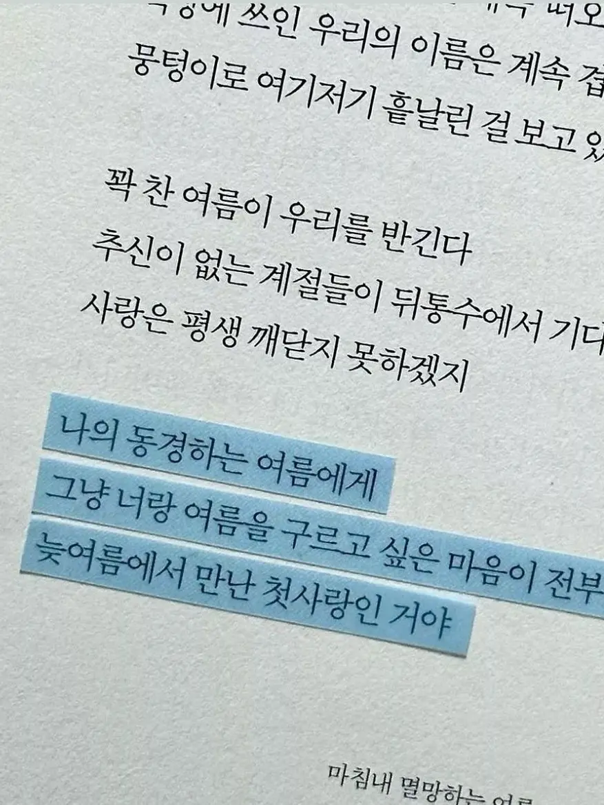 mujo의 나의 동경하는 여름에게,