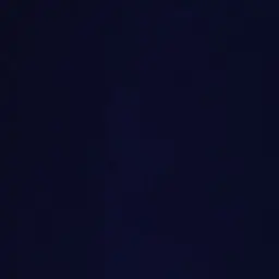 Dishhdishdish의 전이정