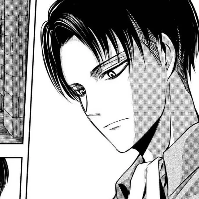 sounds_music의 리바이 아커만