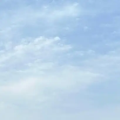 AcridTrain6834의 모범택시