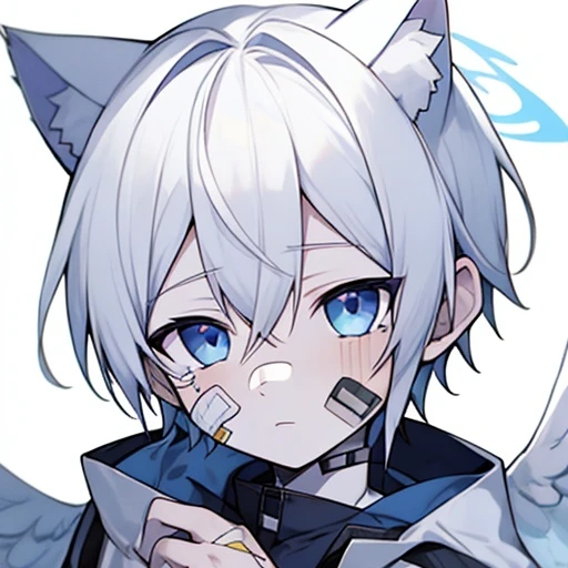 こうた