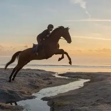 Profile image of Hockey Team