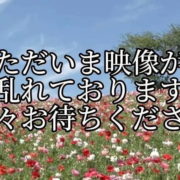 Tyanko_1933.jp.letisgetalong의 ちょっと相談が...