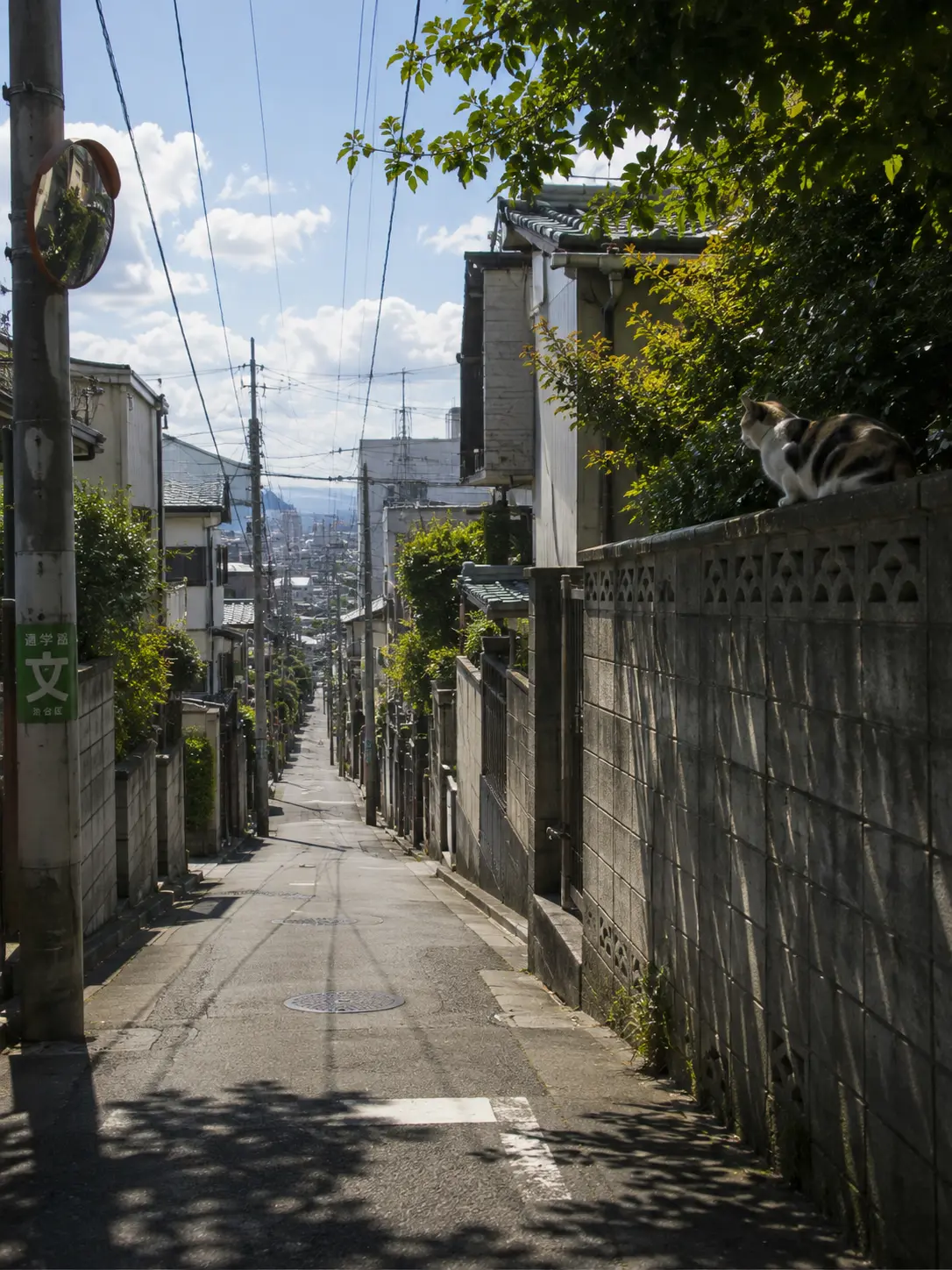 krh_961의 Just a Walk