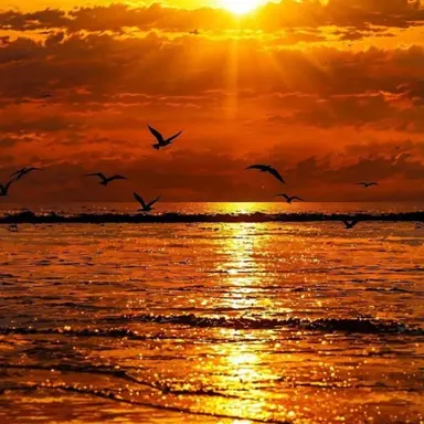 Profile image of 박덕개