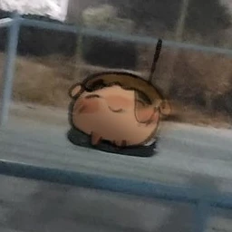 타코