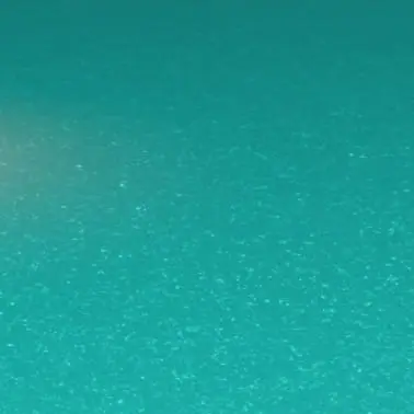 Profile image of 冨岡義勇