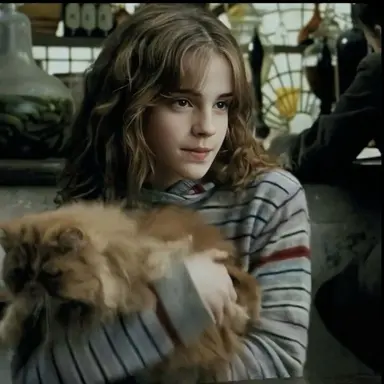 Profile image of Hermione granger