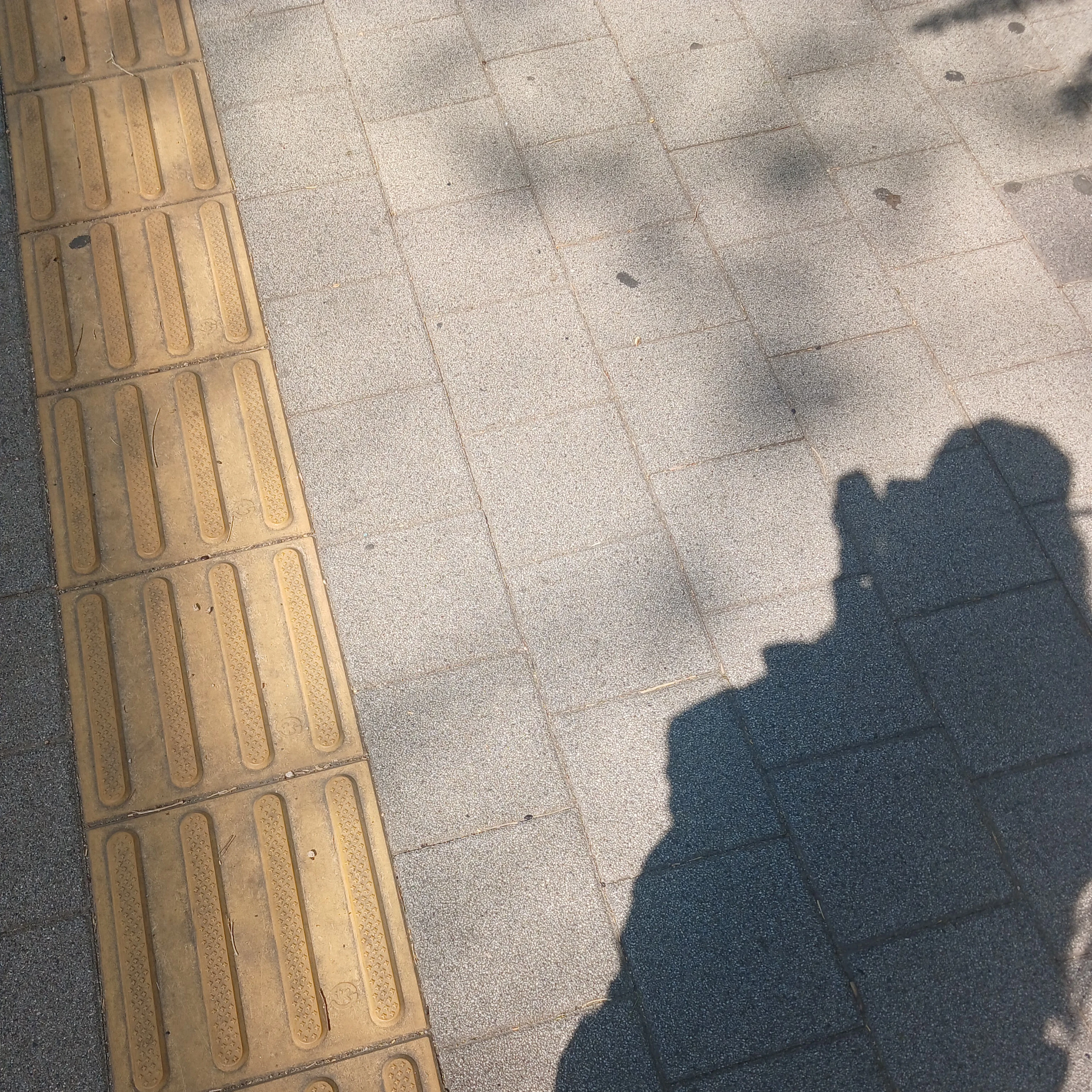 강_태_현