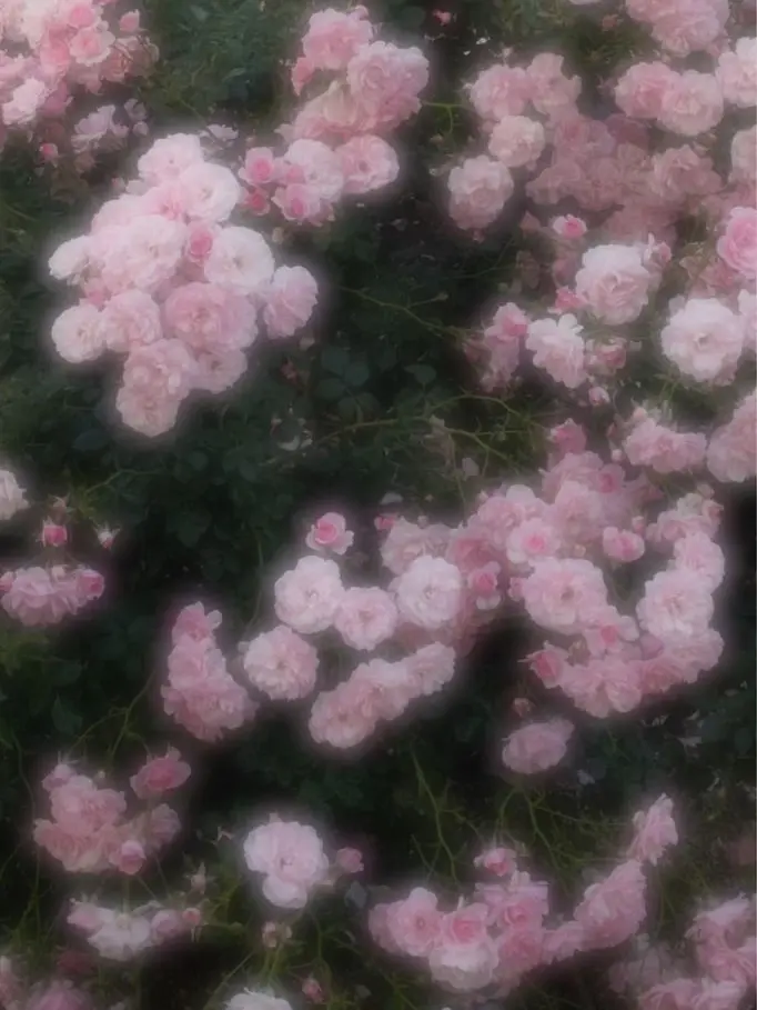 sanco7001의 로판 도리벤