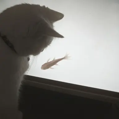 Profile image of 김 각별