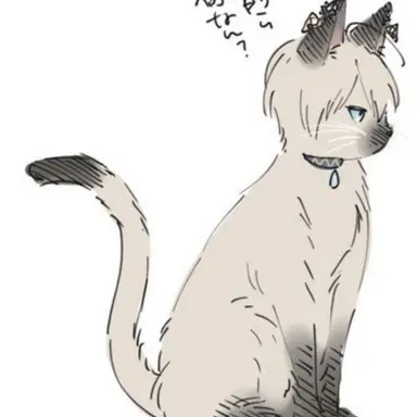Profile image of イブラヒム