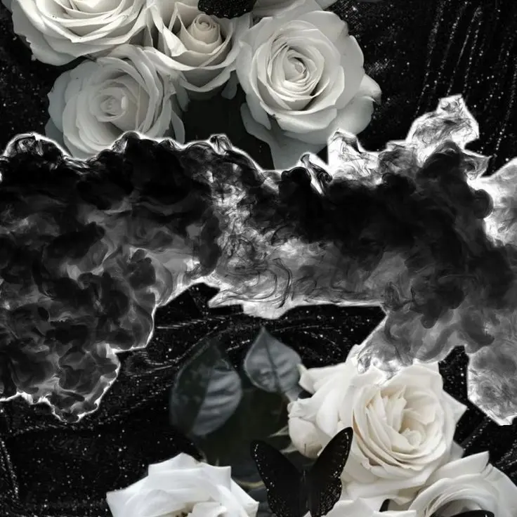 _Kim_RIGO_의 우융