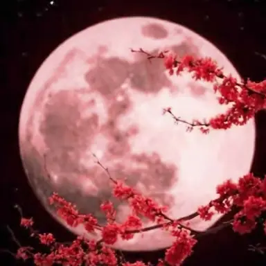 Profile image of 라베