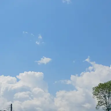 Profile image of 미법사