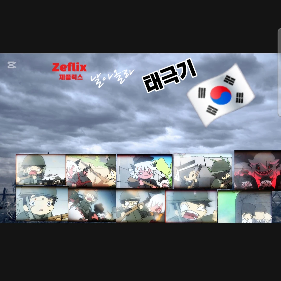 날라올라 태극기