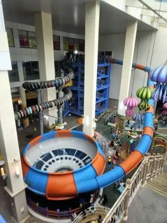 yu._.harin03의 좀비고와 수영장에 갔다!