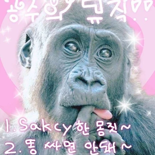 여잼