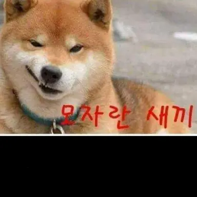 Profile image of 여우