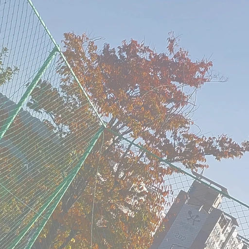 박서우
