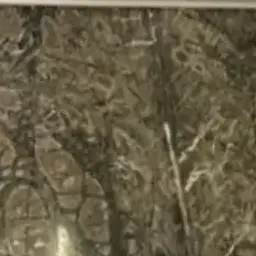 Profile image of 덕개