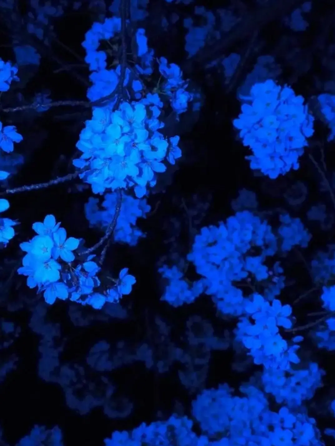 semat의 이번 생에는 내가 꼭 널 지켜줄게.