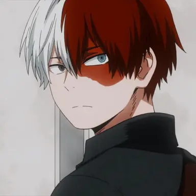Profile image of Shoto Todoroki