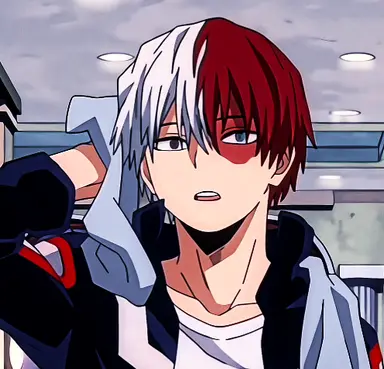 Profile image of Shoto Todoroki