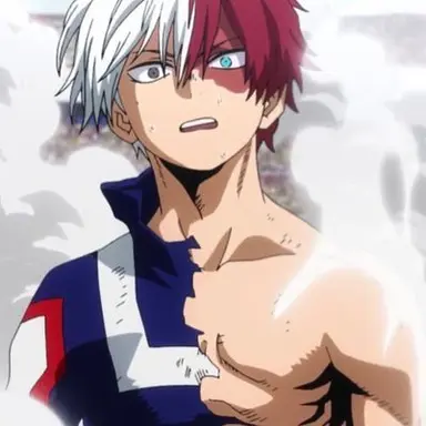 Profile image of Shoto Todoroki