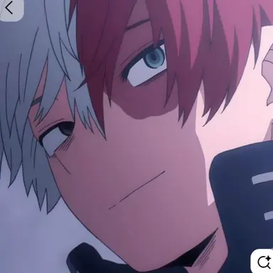 Profile image of Shoto todoroki