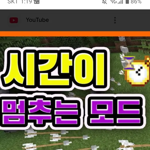 MildGenet8479의 마인크래프트 타임스탑 모드