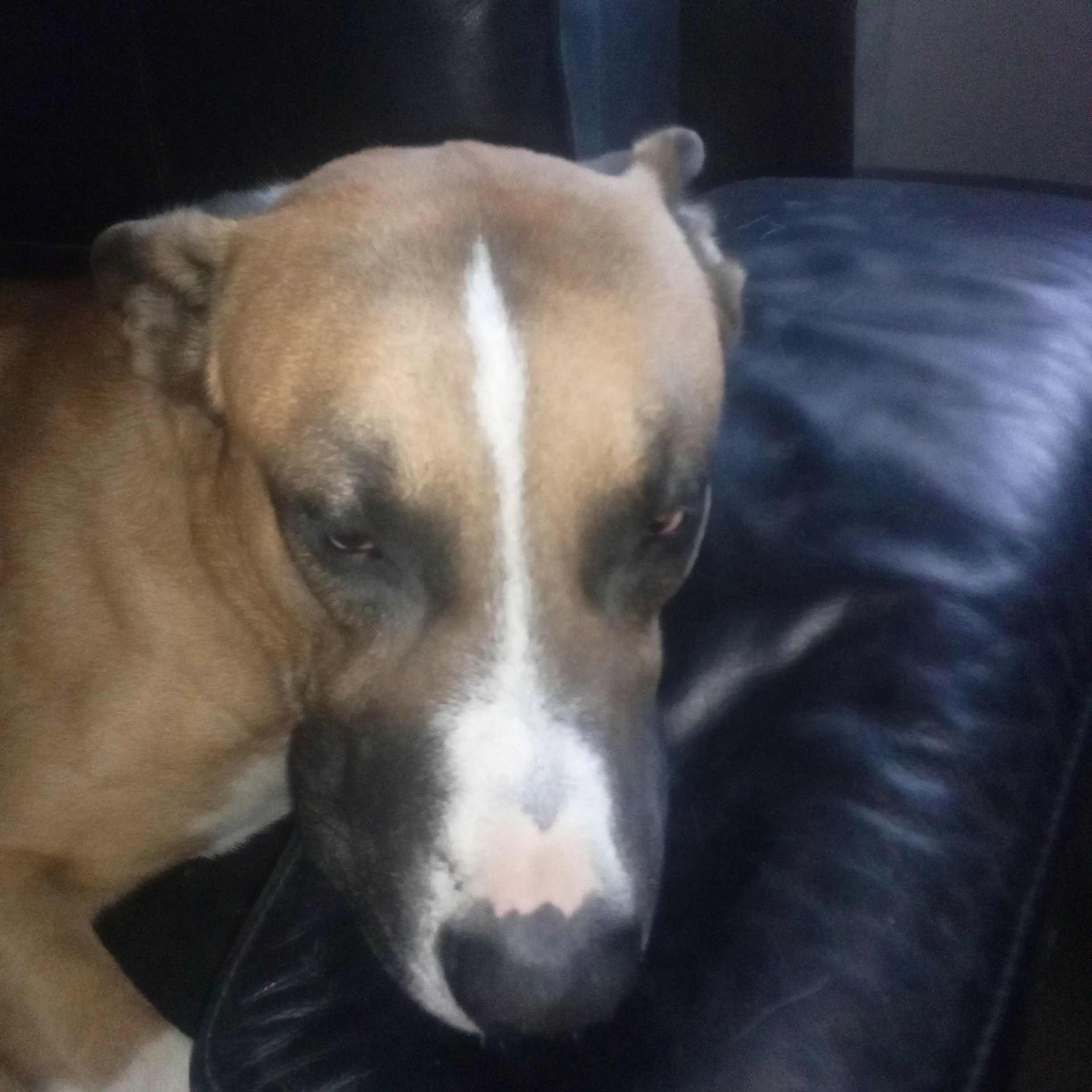 SappyMonth4175의 Hizashi Yamada