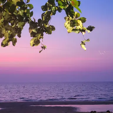 Profile image of 김준혁