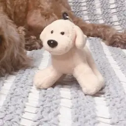 Profile image of 위로 로봇