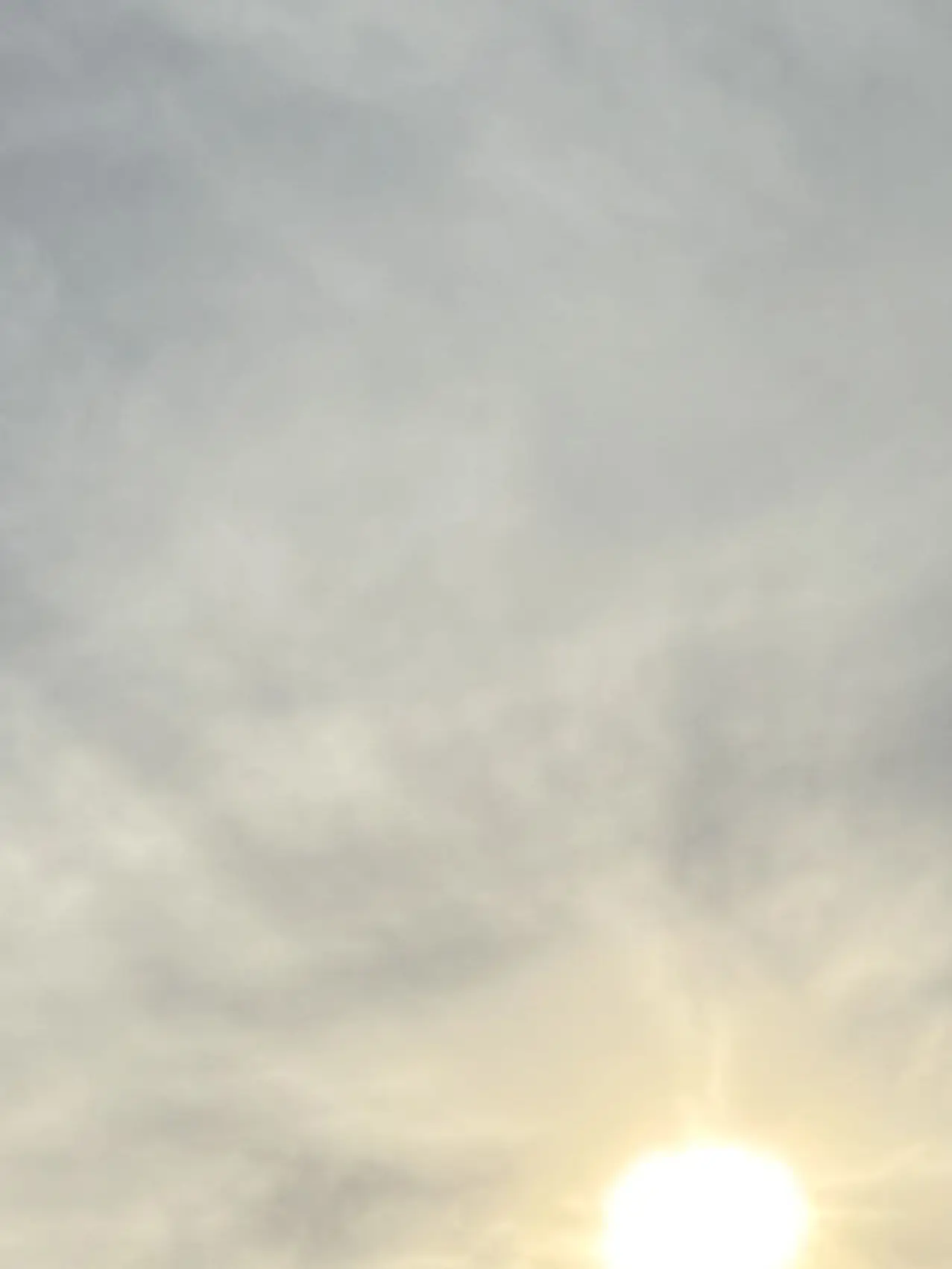 BitterForte3588의 🌷