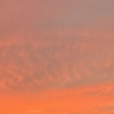 Profile image of 大人シンジ