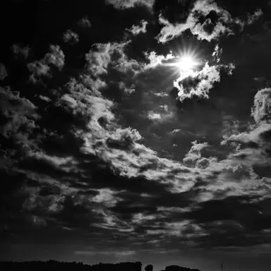 Profile image of 박덕개