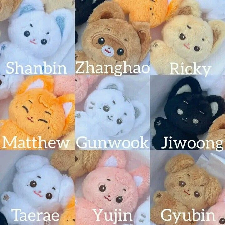 9명 잘생긴 조직보