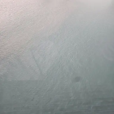 Profile image of 멍재혅