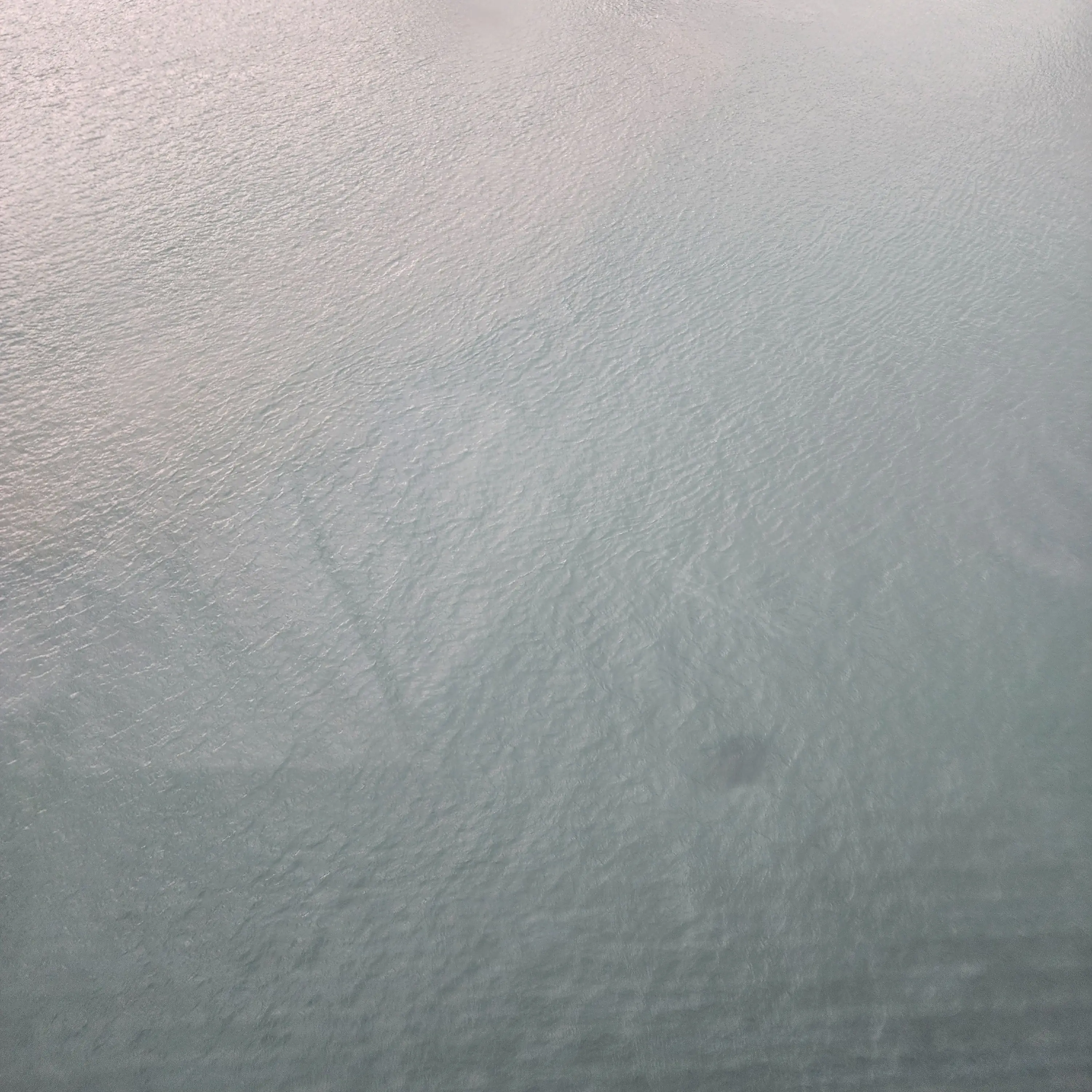 StoutDorgi7189의 경찰관이 뭐라고