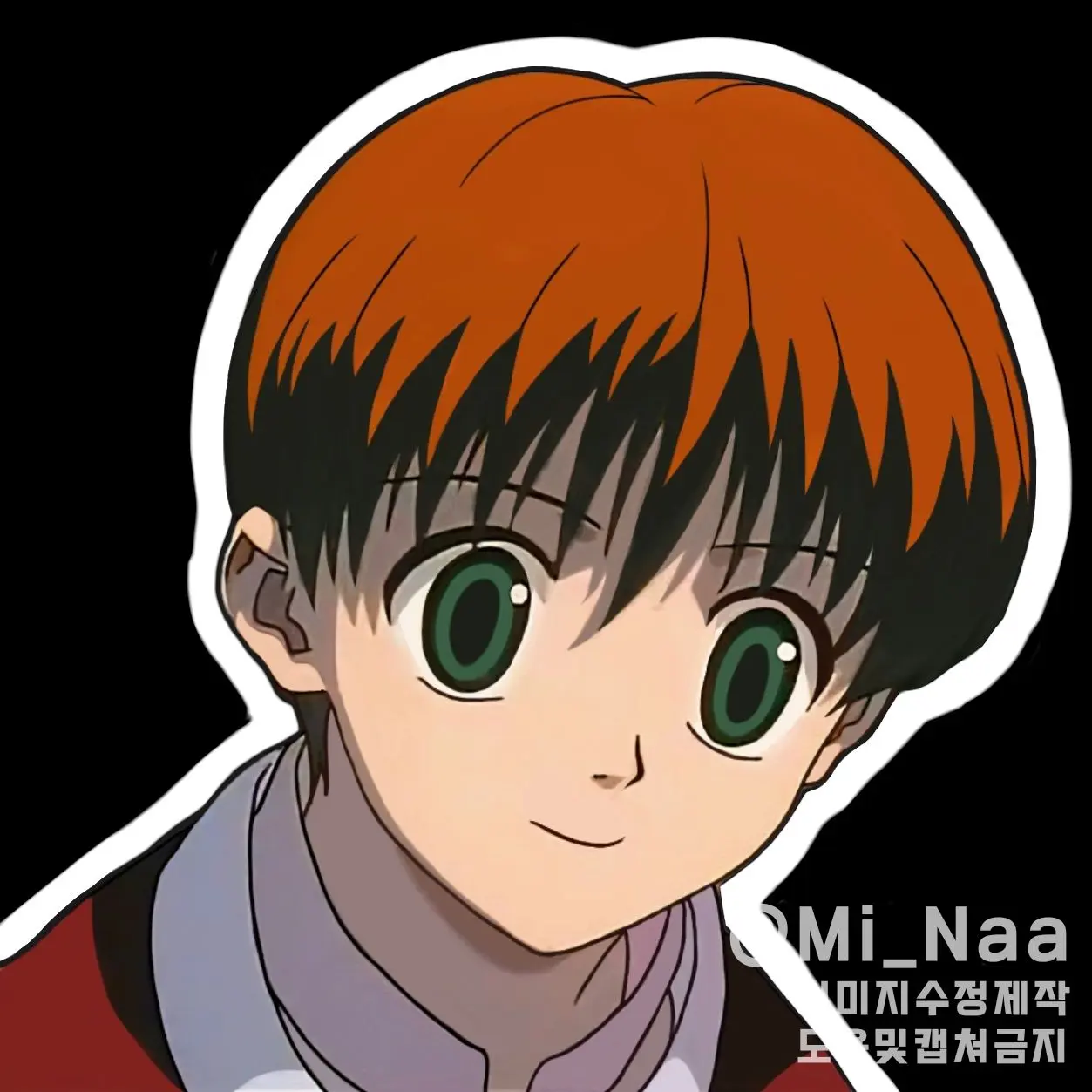 Mi_Naa의 샤르나크 류세이